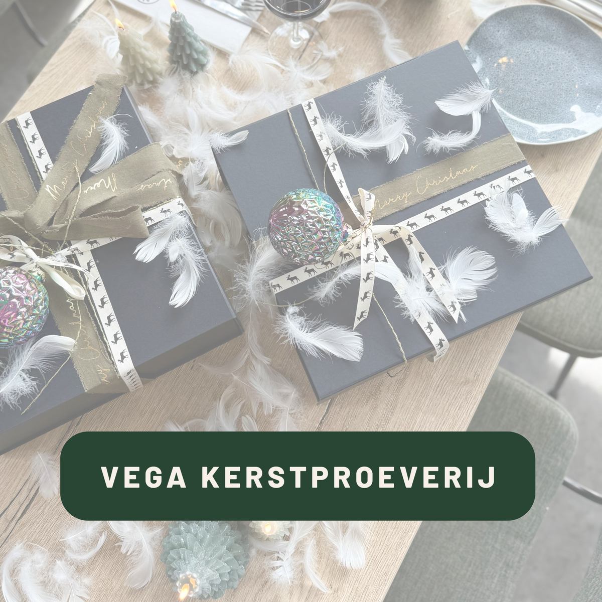 VEGA KERSTPROEVERIJ